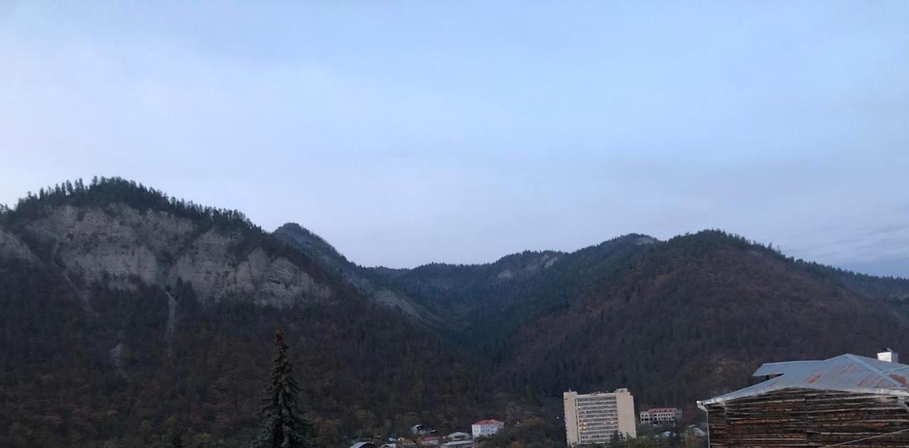 Lukassalomea Apartment Borjomi Exterior photo